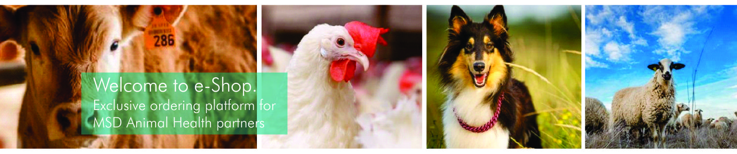 MSD Animal Health Logo